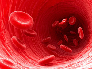glóbulos y anemia